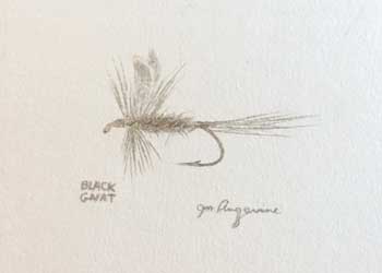 Black Gnat Jim Angevine Madison WI silverpoint